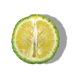 DESERT LIME