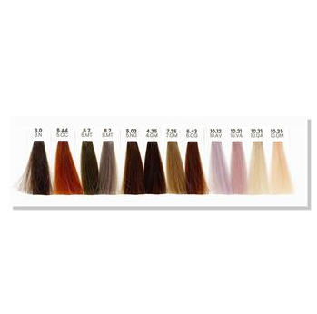 LC Standard Colour Chart Swatches (12)