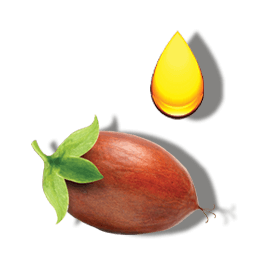 JOJOBA OIL