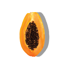 PAPAYA EXTRACT