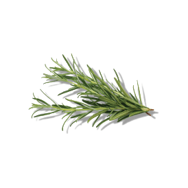 ROSEMARY LEAF EXTRACT