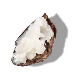 SHEA BUTTER