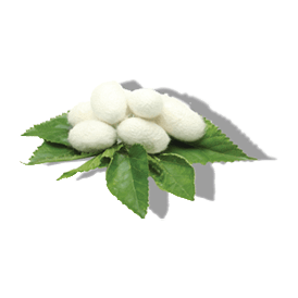 SILK AMINO ACIDS